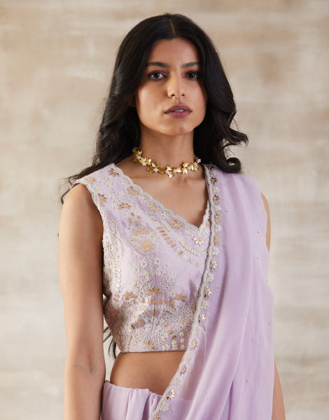 Embroidered Saree and Blouse